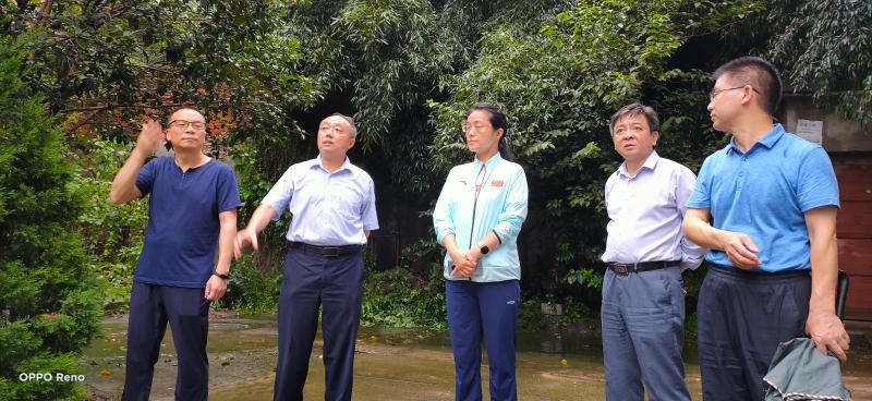 王岚副市长督查指导城区校园安全和防汛工作_六安市教育局(六安市体育