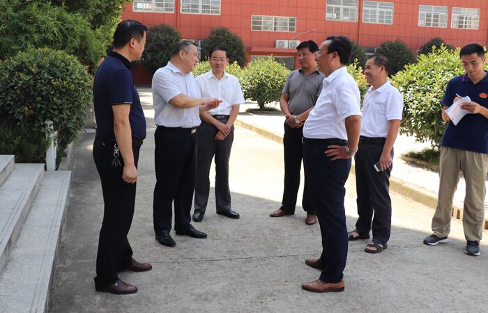 裕安区委书记陈社教调研裕安城区教育工作